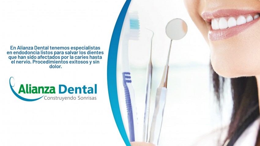 Endodoncia